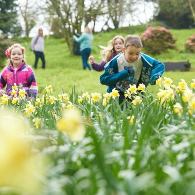 children, running, outside through daffodils in gardens