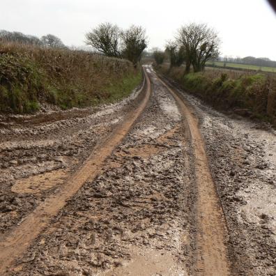 Muck on country roads caused by vehicles carrying liquid digestate to ADs  (photo: Devon CPRE)