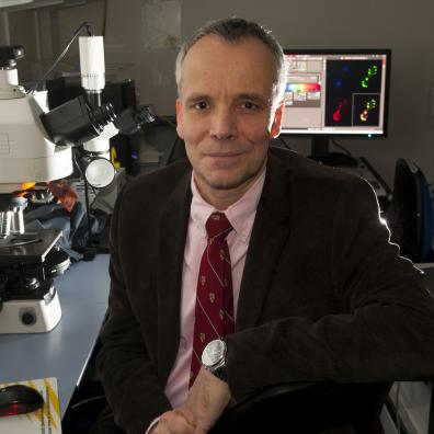Professor Oliver Hanemann, Associate Dean Research, Plymouth University Peninsula Schools of Medicine and Dentistry