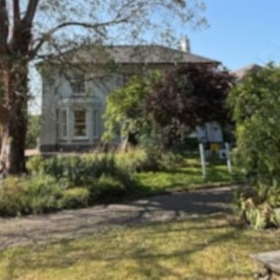 House with Eucalyptus tree in garden
