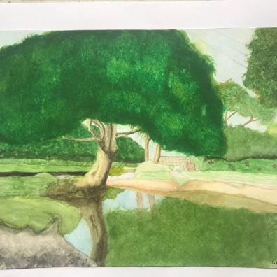 Devon CPRE 'My Outdoors' art competition