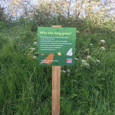 Nature left to flourish in numerous East Devon green spaces