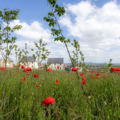 The location has played a part in the success of new homes at The Orchards in Sampford Peverell l