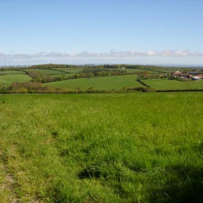A view of open countryside beside the A30 where a retail development has been refused consent 