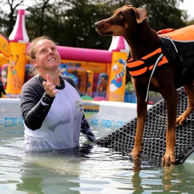 Festival for dog lovers to return this summer!