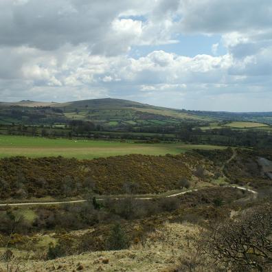 Dartmoor Pony Heritage Trust 