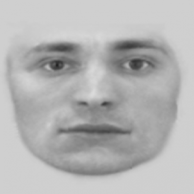 Evofit of suspected mugger