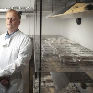 Professor Chris Thornton