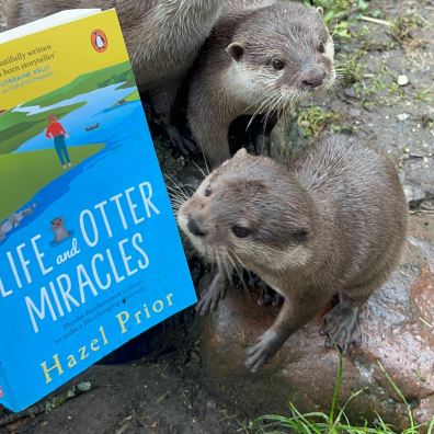 Otters view their new book