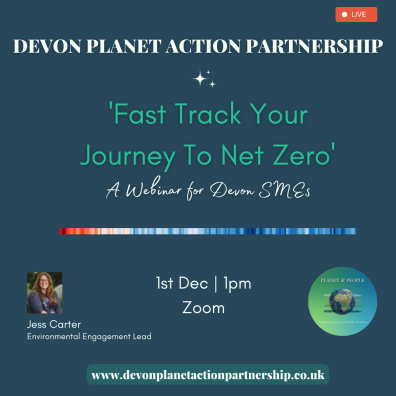 Fast Track Your Journey To Net Zero - a Webinar for Devon Businesses