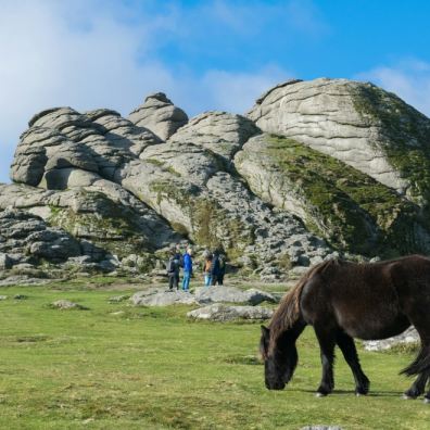 Dartmoor National Park