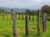 Stone circle