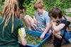 The Outdoors School