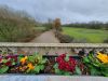 Flowers on bridge in Ottery St Mary