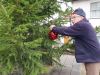 Richard Coley from Ottery St Mary hangs the first bauble on the Christmas tree