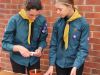 Scouts planting seeds