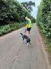 Paul Burgess out for walkies at Animals in Distress