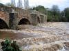 Historic Bickleigh Bridge to reopen earlier than planned