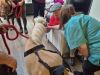 Butterfly Lodge resident John Daniels stroking Wizzle the Shetland Pony