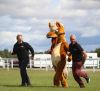 Exeter Racecourse general manager Jack Parkinson, Dexter and clerk of the course Jason Loosemoore