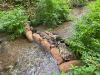 Mycelium Leaky Dam 