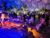 Butterfly Lodge residents visit Eden Project