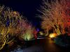 Connaught@Christmas
