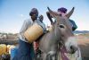 Women loading water onto donkey