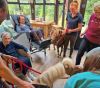Ponies Peanut (back of photo) and Wizzle visit Butterfly Lodge