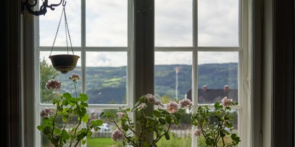 How to Choose Windows That Suit the Style of Your Home